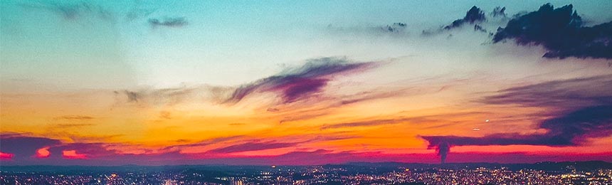 五指山茶虫网_五指山品茶